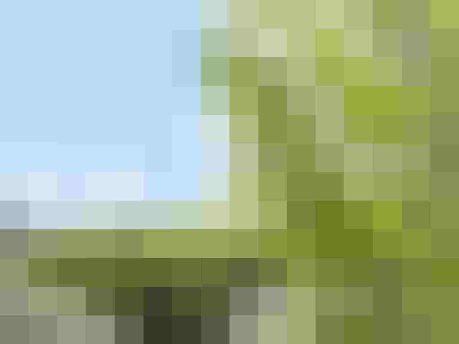 unscharfes Bild mit blauem Himmel und grünen Bäumen