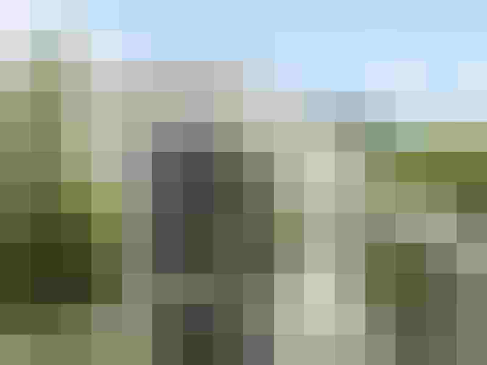 Unscharfes Gebäude mit Bäumen im Vordergrund